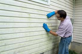 Best Aluminum Siding Installation  in Centerville, IA